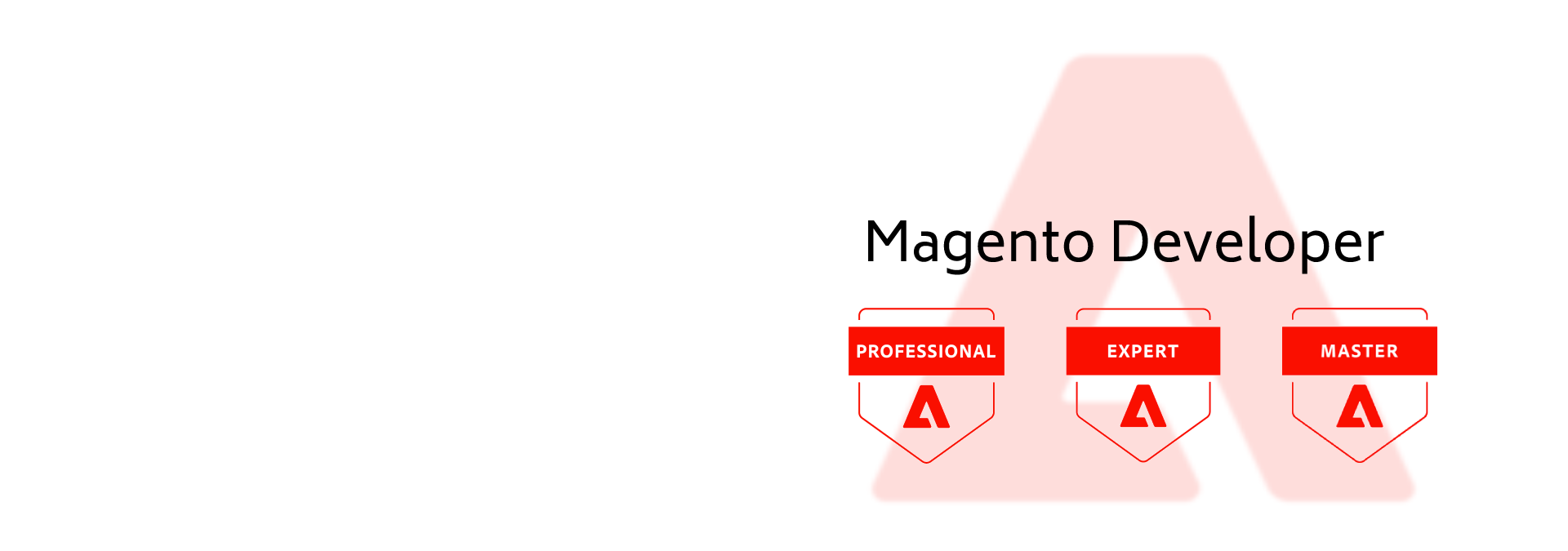 Top Skills a Magento Developer Must Have